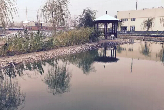 下雪天的躍迪集團，咱也跟跟風。。。