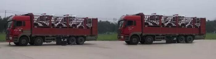 躍迪移動(dòng)城管執(zhí)法站、躍迪電動(dòng)巡邏車大批量發(fā)往首都北京——有躍迪，才安心