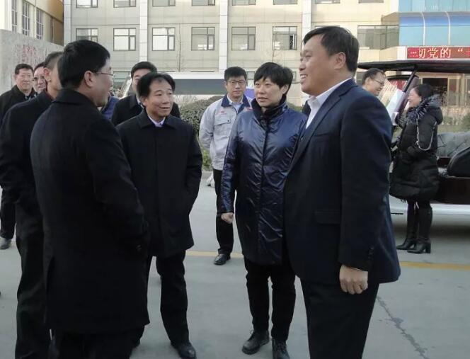 鹿泉區(qū)四大班子及各級領(lǐng)導(dǎo)觀摩考察躍迪集團(tuán)