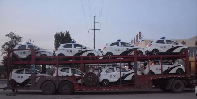 護一方平安|躍迪警用電動巡邏車發往冀北地區