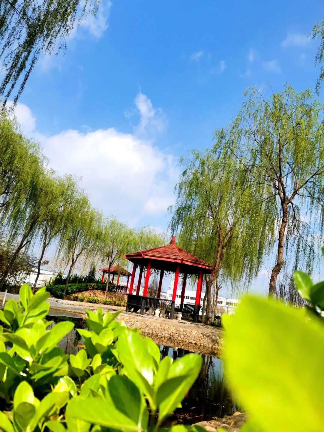 企業風采丨帶您領略躍迪美景